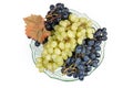 Top view of blue and white grapes in fruits bowl Royalty Free Stock Photo