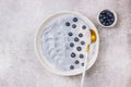 Top view of blue yogurt smoothie bowl made with blueberry Royalty Free Stock Photo
