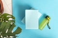 Top view of bluey yoga mat, bottle with water, yoga bricks and green plant. Workout at home. Fitness Equipment. Top view Royalty Free Stock Photo