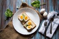 Top view of boiled eggs on bread slices in a plate Royalty Free Stock Photo