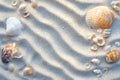 top view border frame different sea shells on sand ripples on beach with copy space in center Royalty Free Stock Photo