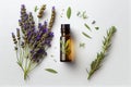 Top view of Bottle lavender oil and bunch lavender,(Created with Generative AI technology) Royalty Free Stock Photo