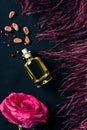 top view of bottle of perfume with red feather and rose bud Royalty Free Stock Photo