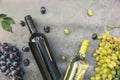 Top view of bottle red and white wine, green vine, wineglass and ripe grape on vintage dark stone table background. Wine Royalty Free Stock Photo