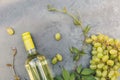 Top view of bottle white wine, green vine and ripe grape on vintage gray stone table background. Wine shop wine bar Royalty Free Stock Photo