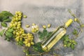 Top view of bottle white wine, green vine, wineglass and ripe grape on vintage gray stone table background. Wine shop Royalty Free Stock Photo