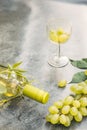 Top view of bottle white wine, green vine, wineglass and ripe grape on vintage gray stone table background. Wine shop Royalty Free Stock Photo