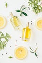 top view of bottles of fresh perfume with green branches and lemon slices