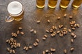 Top view of bottles and mug of light beer near scattered pistachios on brown surface. Royalty Free Stock Photo