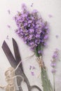 Top view of a bouquet of lavender with old metal scissors Royalty Free Stock Photo