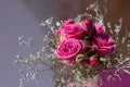 Top view of a bouquet of pink spray roses on a gray background Royalty Free Stock Photo