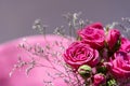 Top view of a bouquet of pink spray roses on a pink background. Royalty Free Stock Photo