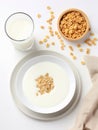 Top view of bowl of cereals with milk. Royalty Free Stock Photo