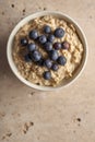 Top View of Bowl of Oatmeal with Blueberries on Top Copy Space