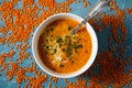 Top view of a bowl of red lentil soup surrounded by uncooked lentils Royalty Free Stock Photo