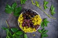 Top view bowl of various grapes: red, white and black berries and green leaves with water drops on the dark concrete background. S Royalty Free Stock Photo