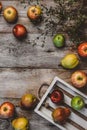 top view of branch, wooden box, pears and apples Royalty Free Stock Photo