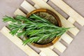 Top view of bright fresh green and dried rosemary branches, twigs and leaves in a wooden bowl and board on light background. Royalty Free Stock Photo