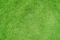 Top view of bright grass garden Idea concept used for making green backdrop, lawn for training football pitch, Grass Golf Courses Royalty Free Stock Photo