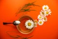 Top view on a bright orange background, a spoon with a cup in which tea from camomiles is poured. near fresh flowers and herbs
