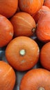 Top view of bright orange pumpkin in a group Royalty Free Stock Photo