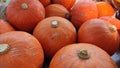 Top view of bright orange pumpkin in a group Royalty Free Stock Photo
