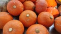 Top view of bright orange pumpkin in a group Royalty Free Stock Photo