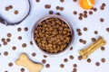 Top view of brown biscuit bones and crunchy organic kibble pieces for dog feed with black collar on light blue background Royalty Free Stock Photo