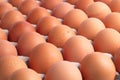 Top view of brown chicken eggs for background. Royalty Free Stock Photo