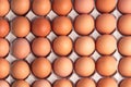 Top view of brown chicken eggs for background. Royalty Free Stock Photo