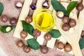 Top view of brown macadamia nuts with yellow oil in a glass bowl on light wooden background. Royalty Free Stock Photo