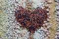 Top view of brown and rice berry seed in heart shape on variety natural cereal and grain seed stripe background