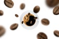 Top view of brown roasted coffee beans falling and flying to coffee cup on white background.Represent breakfast for energy and Royalty Free Stock Photo