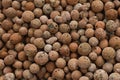Top view of brown round expanded clay pellets for keeping house plants in semi Hydroponics