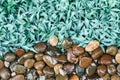 Top-view of brown stone texture in garden with difference color and small green grass texture.Spring garden in morning sunlight.