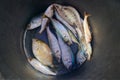 Top view of a bucket of caught sea fish