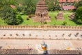 Top view of buddha statue Royalty Free Stock Photo