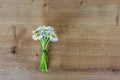 Bunch of blooming daisies on rustic wooden background Royalty Free Stock Photo