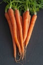 Top view of bunch of carrots on slate background