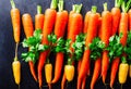 Top view of bunch of fresh organic rainbow carrots on black background