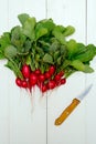 Top view of bunch of fresh organic red radishes with tops and green leaves and knife on white wooden background. Vegetable Royalty Free Stock Photo