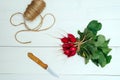 Top view of bunch of fresh organic red radishes with tops. Royalty Free Stock Photo