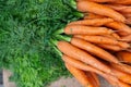 Top view of bunch of fresh ripe orange carrots placed on stall in local market Royalty Free Stock Photo