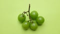 bunch of fresh sweet green shine muscat (vitis vinifera) grape and leaf isolate on green background