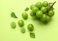 bunch of fresh sweet green shine muscat (vitis vinifera) grape and leaf isolate on green background Royalty Free Stock Photo