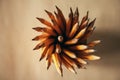 Top view of a bunch of pencils on a wooden surface, back to school concept