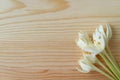 Top view of a bunch of pure white Millingtonia flowers on light brown wooden table, with free space