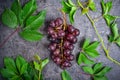 Top view bunch of red grapes and green leaves with water drops on the dark concrete background. Selective focus Royalty Free Stock Photo