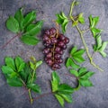 Top view bunch of red grapes and green leaves with water drops on the dark concrete background. Selective focus Royalty Free Stock Photo