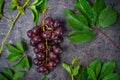 Top view bunch of red grapes and green leaves with water drops on the dark concrete background. Selective focus. Space for text Royalty Free Stock Photo